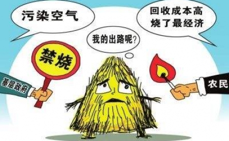 黑龙江秸秆草莓视频下载网站把秸秆从包袱变回宝贝！