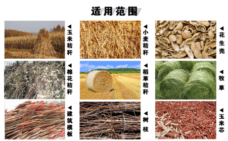 木屑草莓视频下载网站有效处理农村废弃物，发展生物质能源