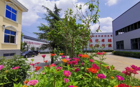 秸秆草莓视频下载网站哪家好？