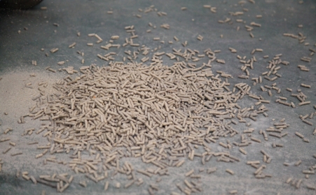 生物质燃料草莓视频下载网站意想不到的重要