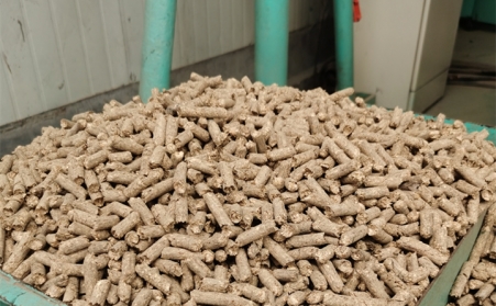 2021阳信清洁取暖1万多户全部使用生物质草莓视频下载网站的燃料颗粒