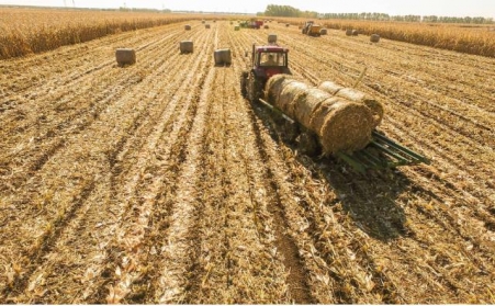 生物质草莓视频下载网站加工物料时有哪些注意事项