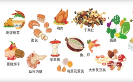 我国明确对非居民厨余垃圾处理按“产生者付费”原则计量收费,你的垃圾怎么办？垃圾生物质草莓视频下载网站帮你解决