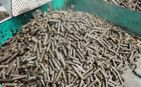 生物质草莓视频下载网站成型燃料知识大全