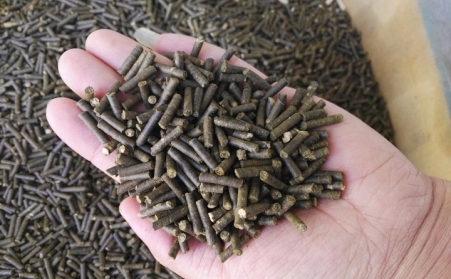 生物质燃料草莓视频下载网站加工颗粒燃料对我国发展有重大意义