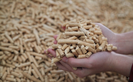 木材边角料扔了太浪费，这样做变现