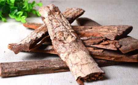 深入！为什么欧洲需要依靠可持续的生物能源