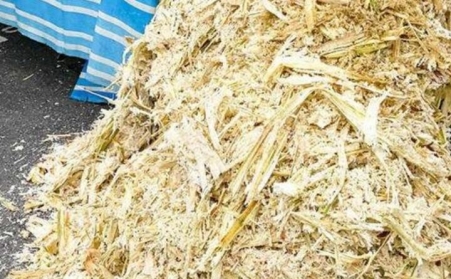 甘蔗渣想废物利用？可以考虑生物质草莓视频下载网站！