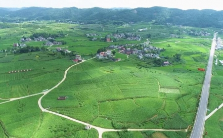 福泉：生物质颗粒智能化烘烤 助力烤烟产业提质增效