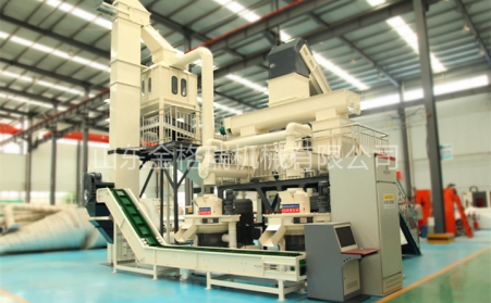 河北生物质草莓视频下载网站一套生产线多少钱？