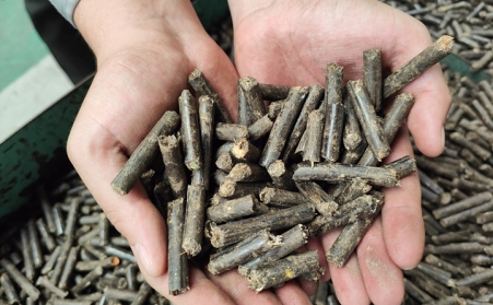 生物质草莓视频下载网站生产的颗粒表面有锯末怎么回事