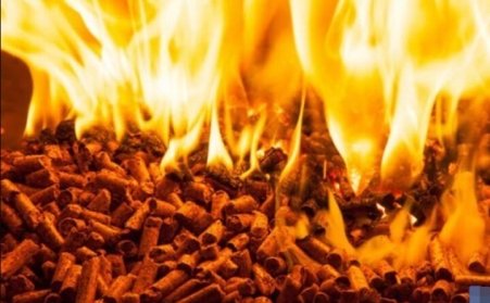 研报：欧洲的木屑颗粒供应冲击