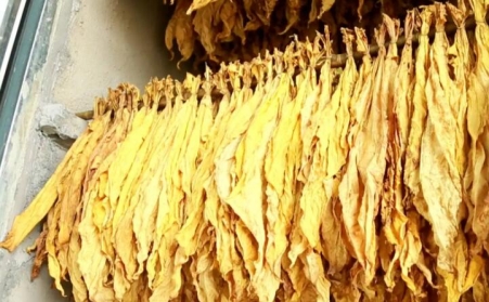 湖北省十堰市竹溪桃源乡：生物质燃料运输正当时