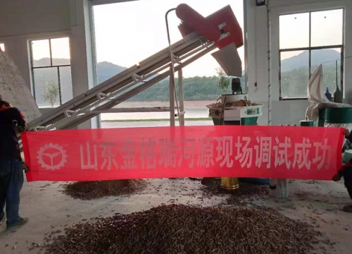 广东河源木屑草莓视频下载网站调试成功