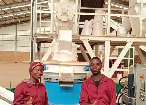 生物质草莓视频下载网站非洲马拉维客户现场