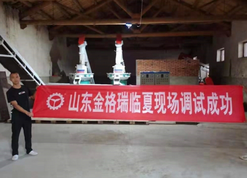 甘肃临夏年产1万5千吨生物质燃料草莓视频下载网站生产线调试完成