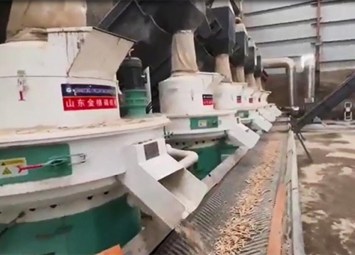 生物质草莓视频下载网站客户现场