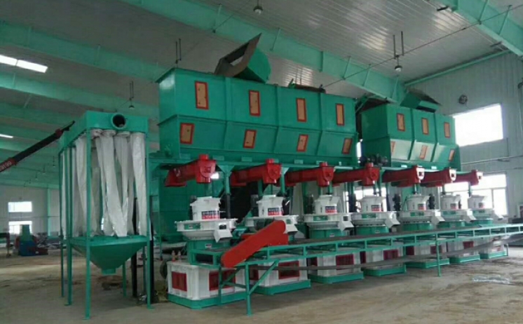 吉林木屑草莓视频下载网站生产线现场