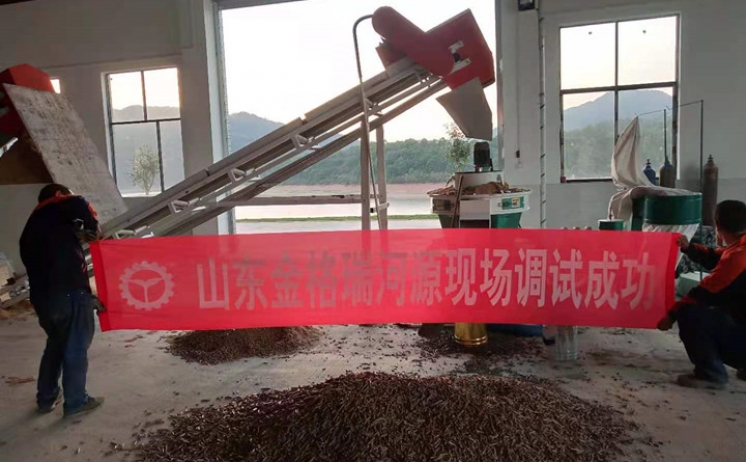 广东河源木屑草莓视频下载网站调试成功