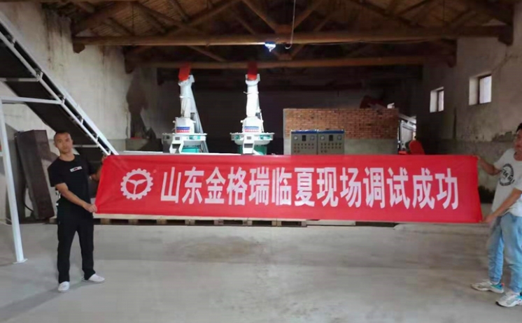 甘肃临夏年产1万5千吨生物质燃料草莓视频下载网站生产线调试完成