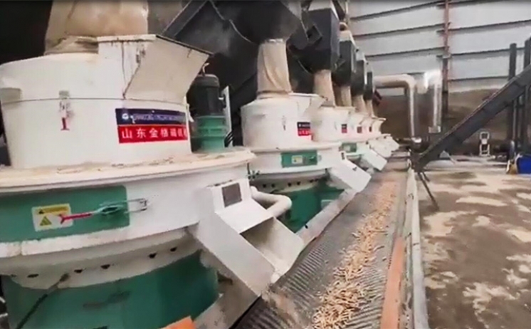 生物质草莓视频下载网站客户现场